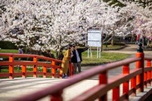 Japon magique